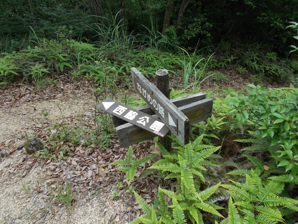 10：33　山頂から分岐まで戻ります。