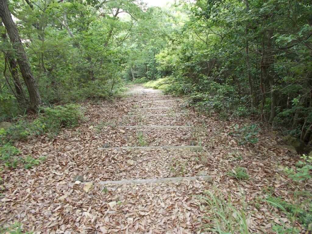 10：34　ここからも階段道になりました。