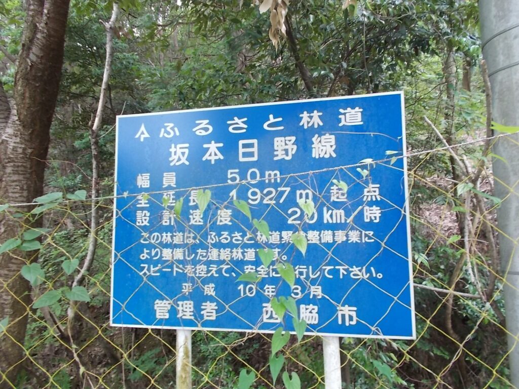 10：42　この林道を歩きます。