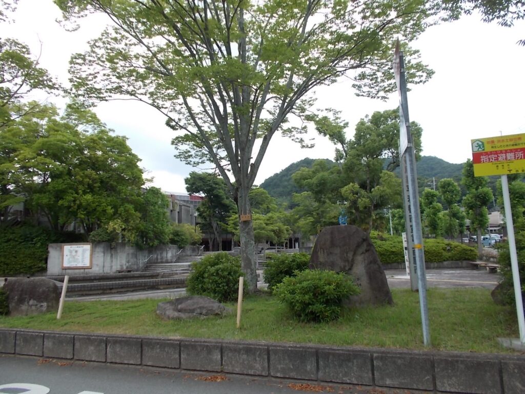 11：32　童子山公園に戻ってきました。あじさい園の時間も含まれています。