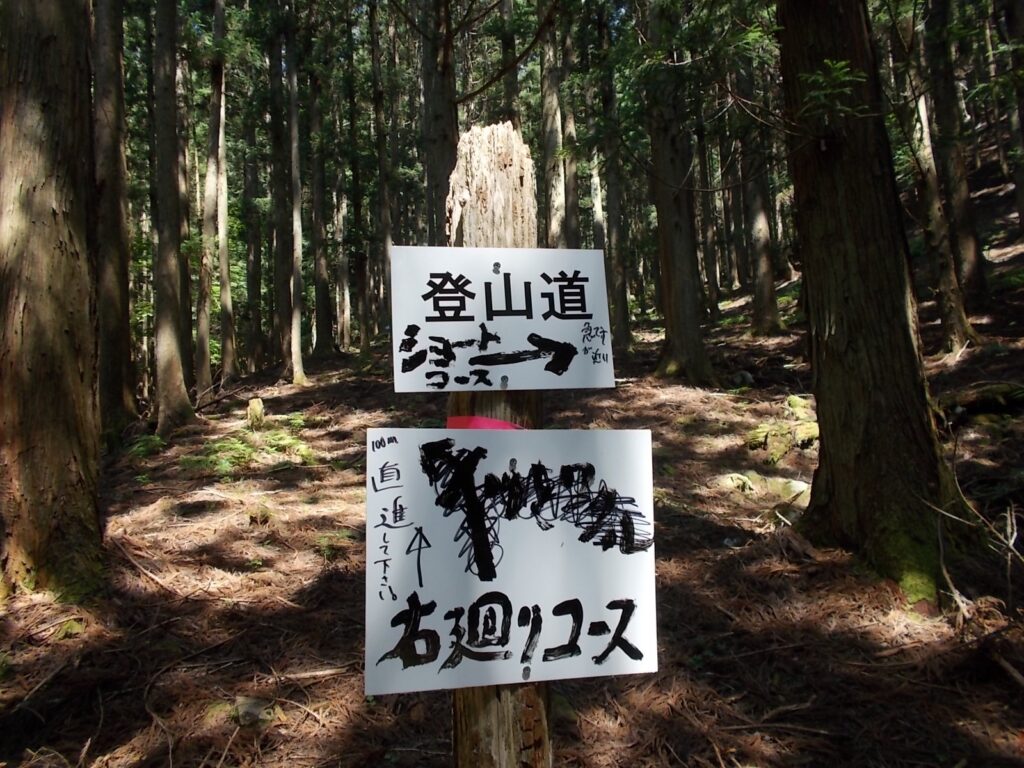 10：38　渡ってすぐの案内板。ショートコースへ進みます。