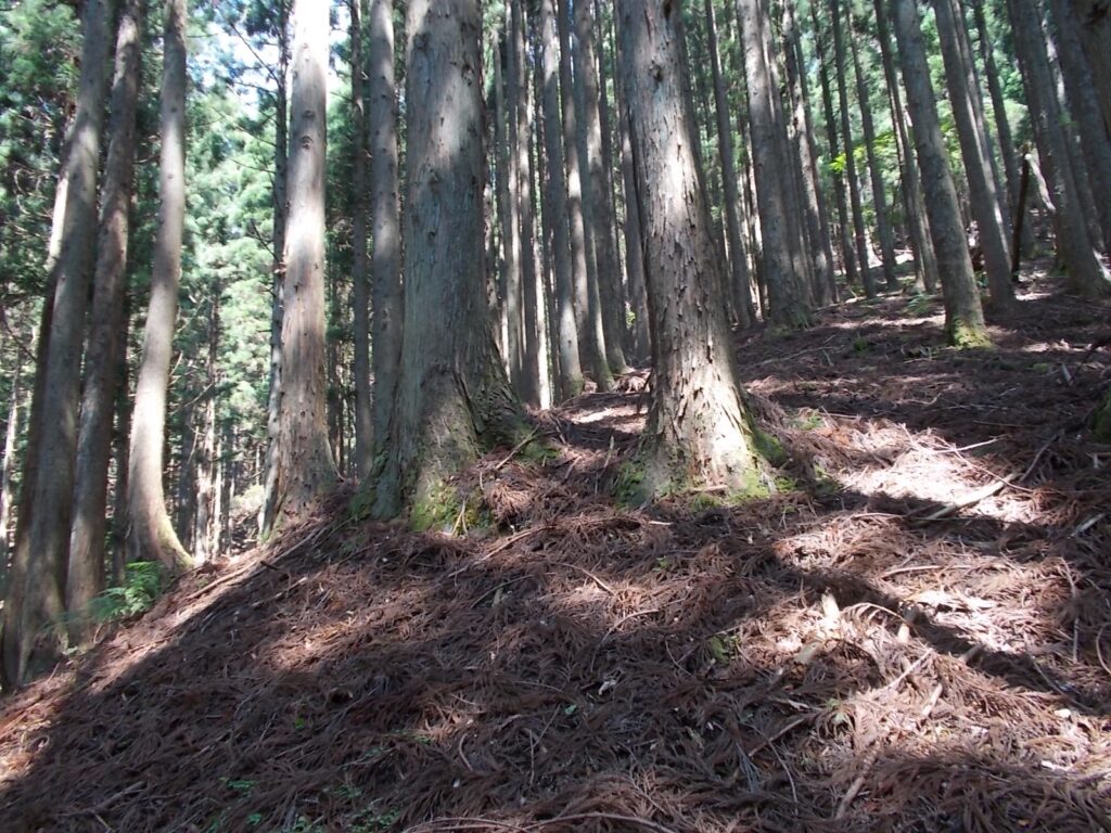 10：40　なかなかの傾斜です。かなり長いですので心の準備を。