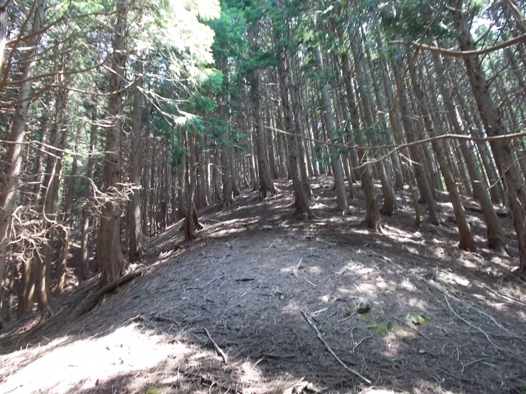 10：49　少し開けましたが、まだ上ります。
