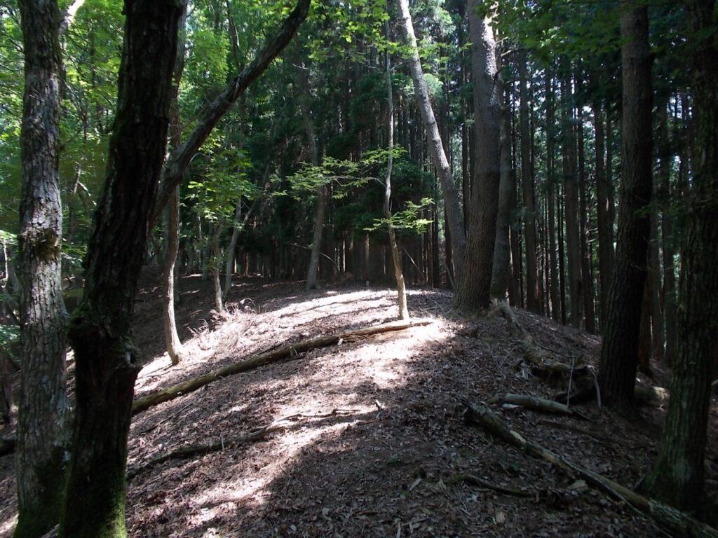 10：57　ようやくピークに着きました。