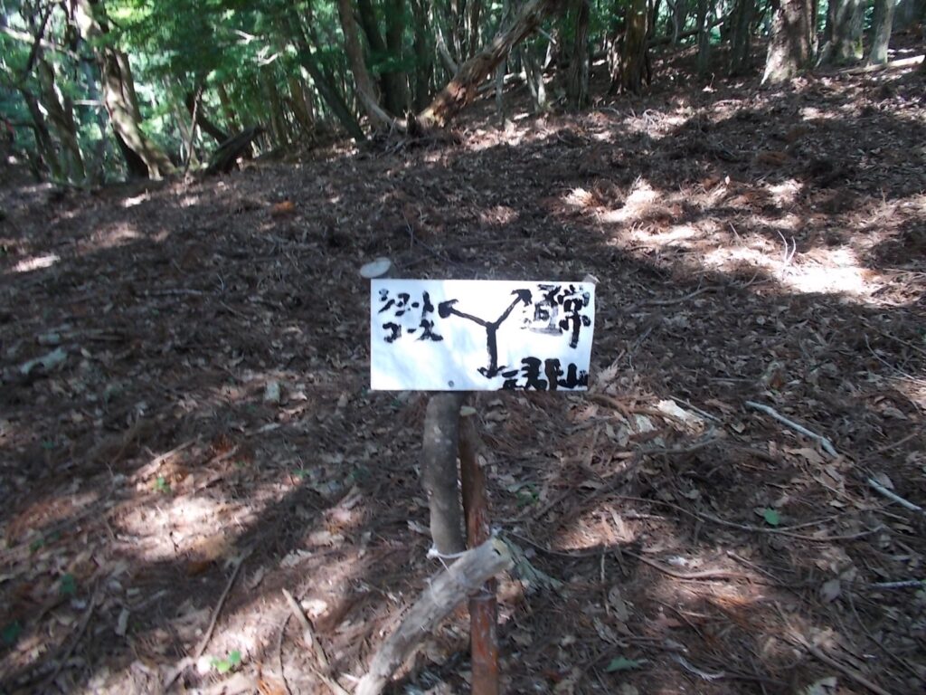 11：01　分岐の案内板。