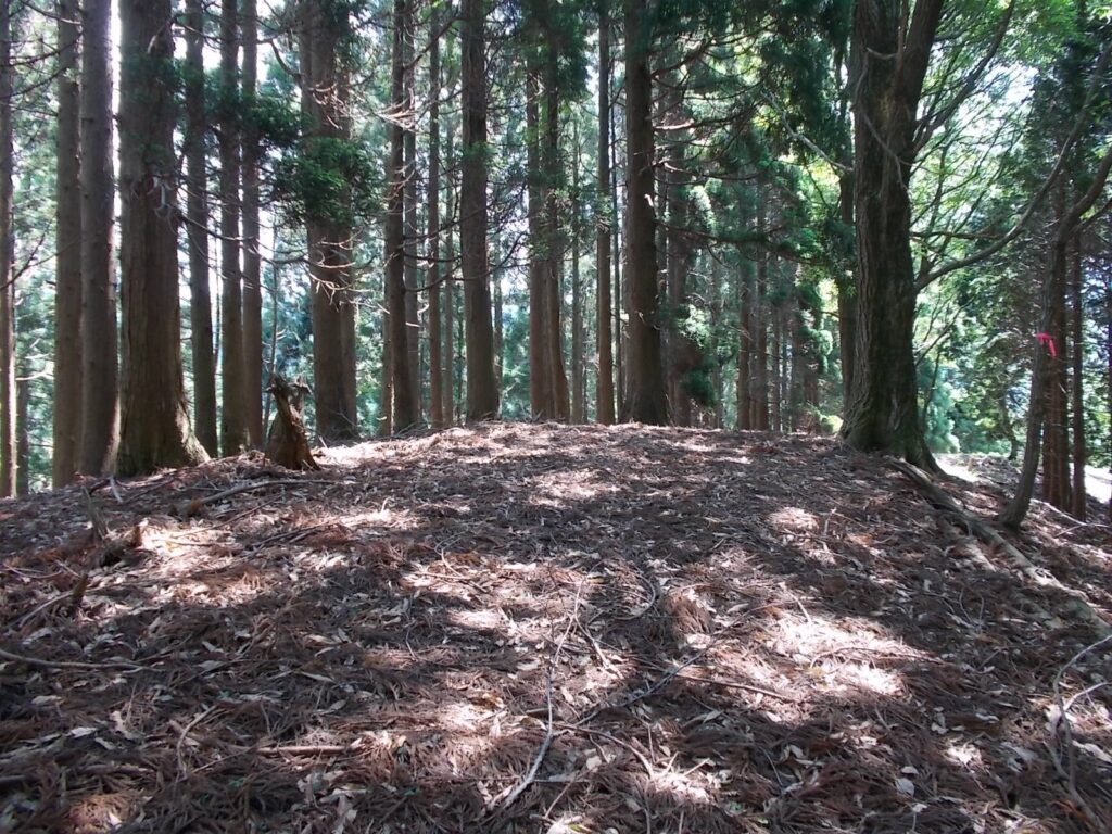 11：03　次のピーク