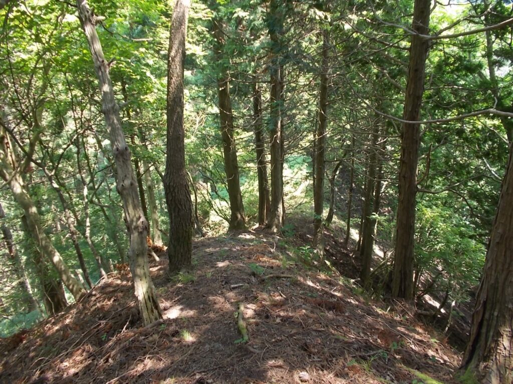 11：07　ここから下ります。