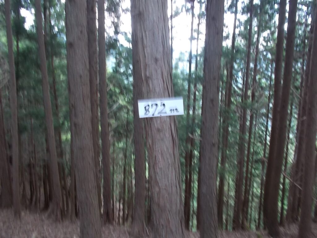 11：14　上り返して、872mのピーク。