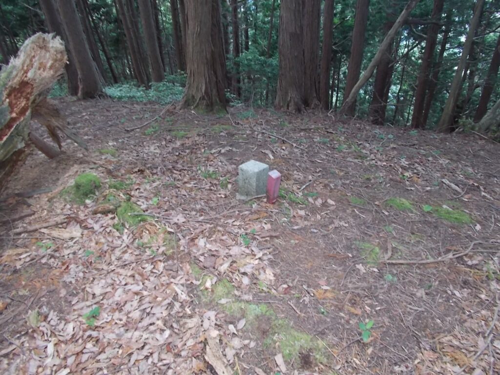 11：14　三角点。このあたり歩きやすいです。