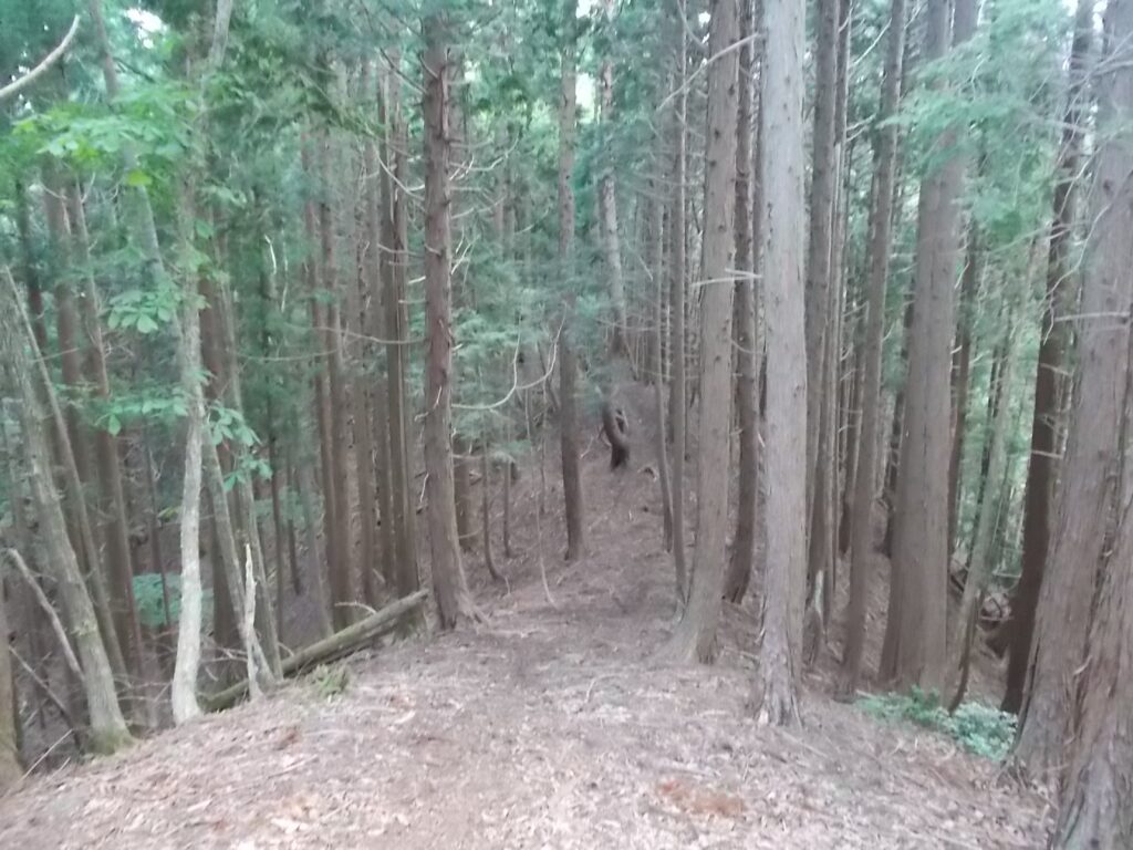 11：14　また、下ります。