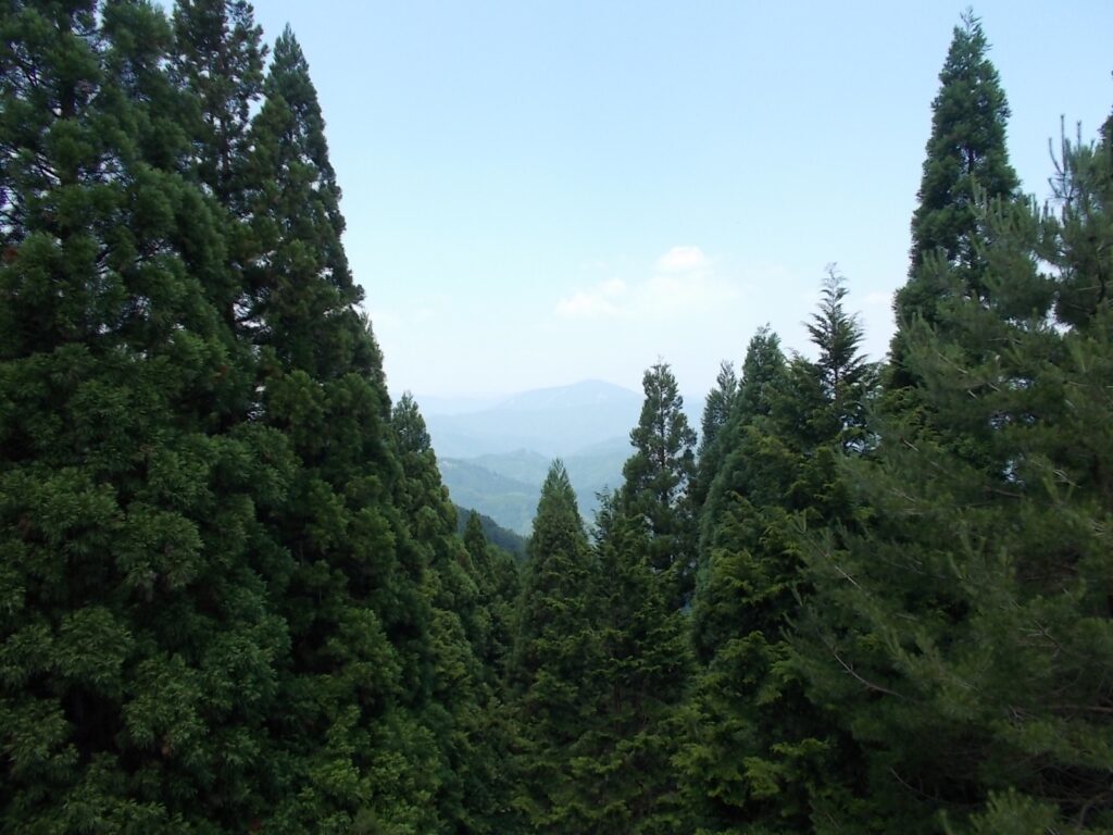 11：32　展望地から見える景色。正面は、藤無山。右側に氷ノ山が見えるはずなんですが、あいにく霞んでて見えませんでした。