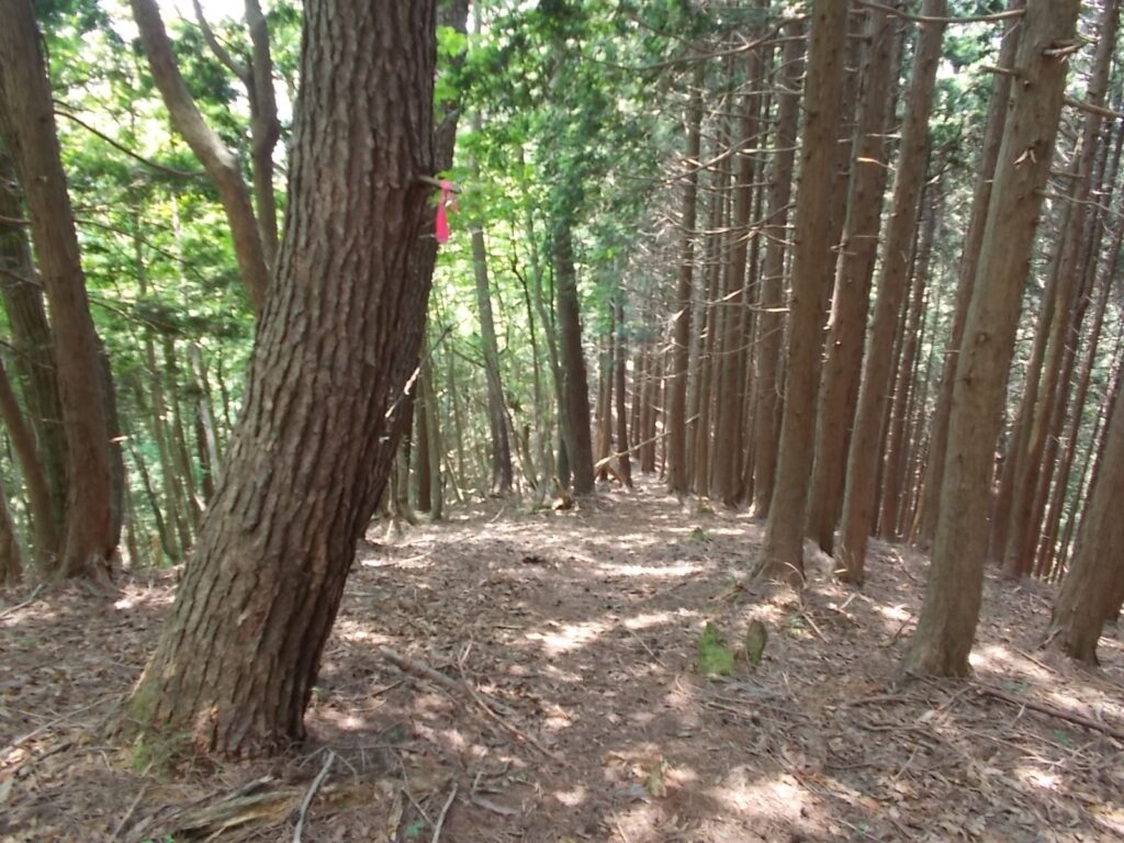 11：40　しばらくは、急下り。