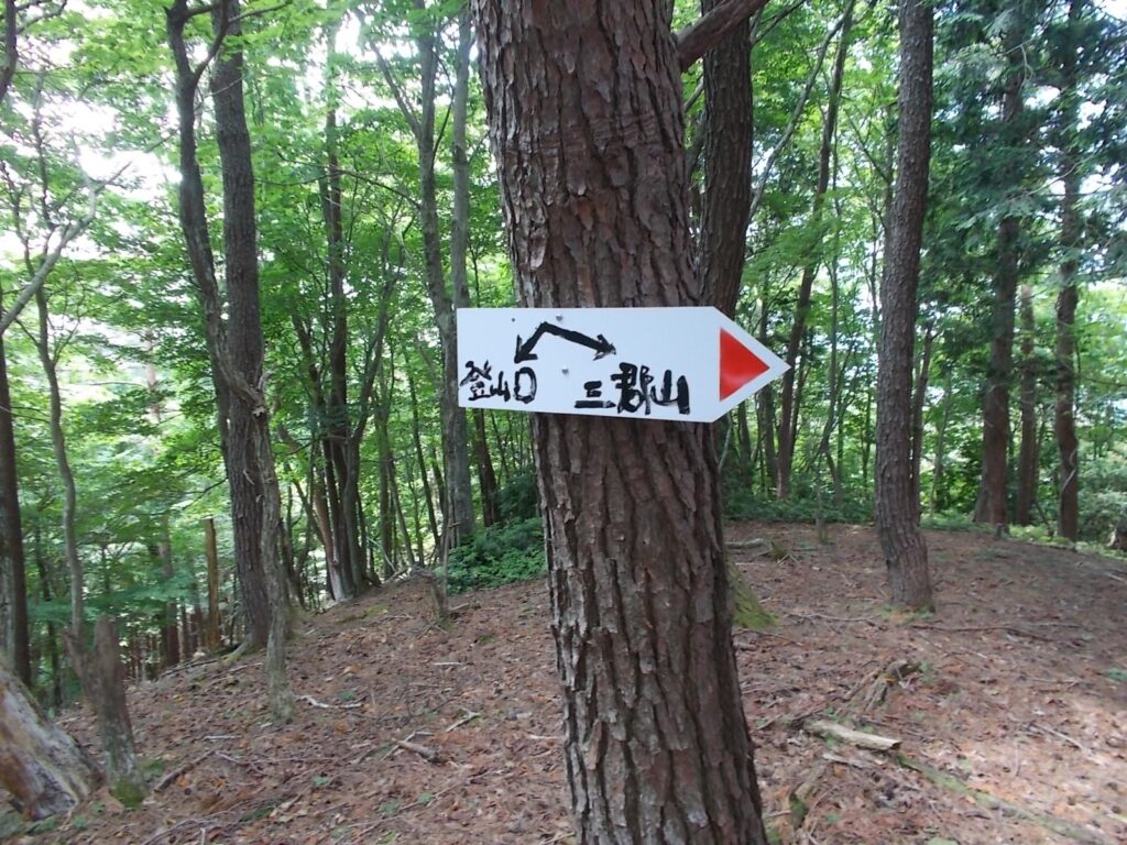 11：47　案内板。左へ。