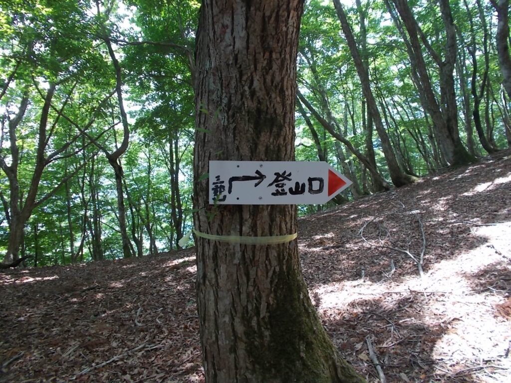 11：51　案内板。今度は右へ。