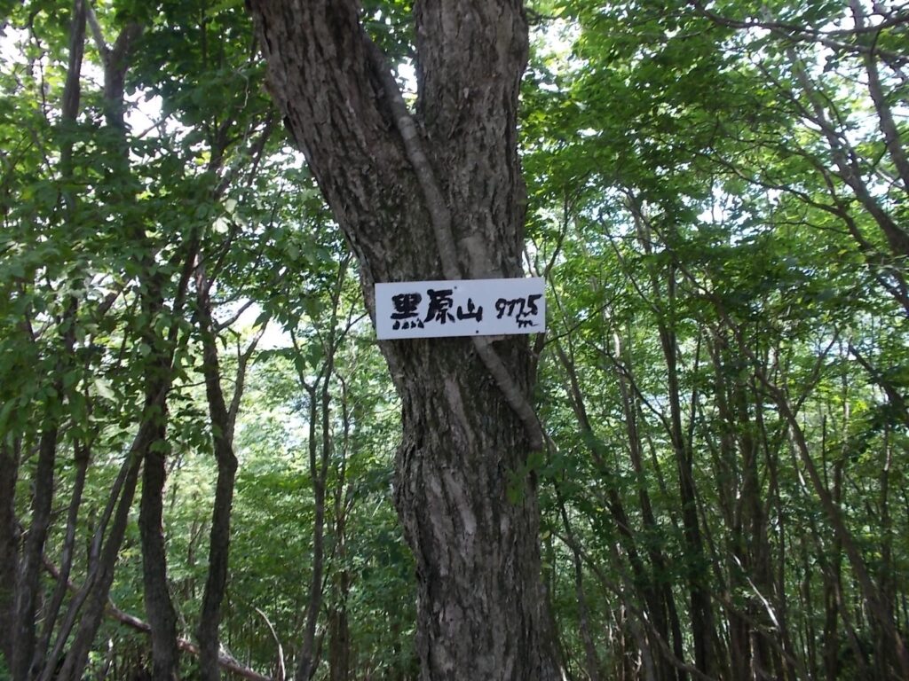 11：53　黒原山に着きました。このコースの最高峰です。