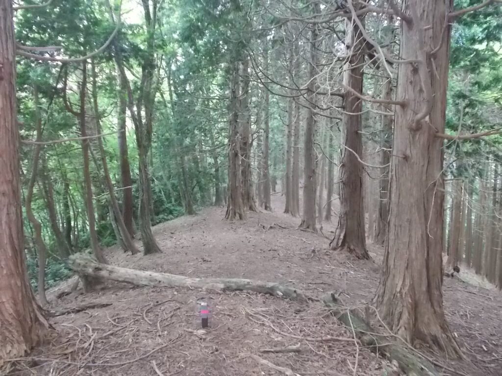 12：00　抜けると、広々とした尾根筋。