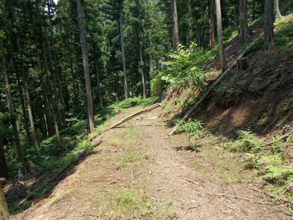12：33　作業道の様子。