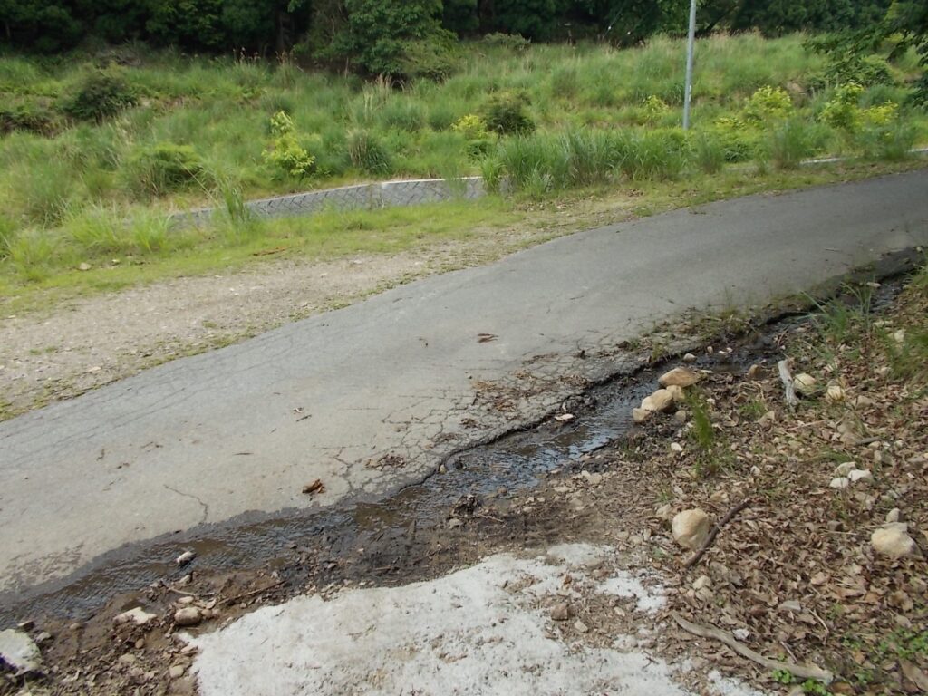 12：49　林道に出ました。こちらも登山口。標柱があるはずなんですが、なぜか見当たりませんでした。