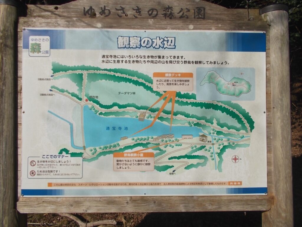 10：17　水辺の案内です。