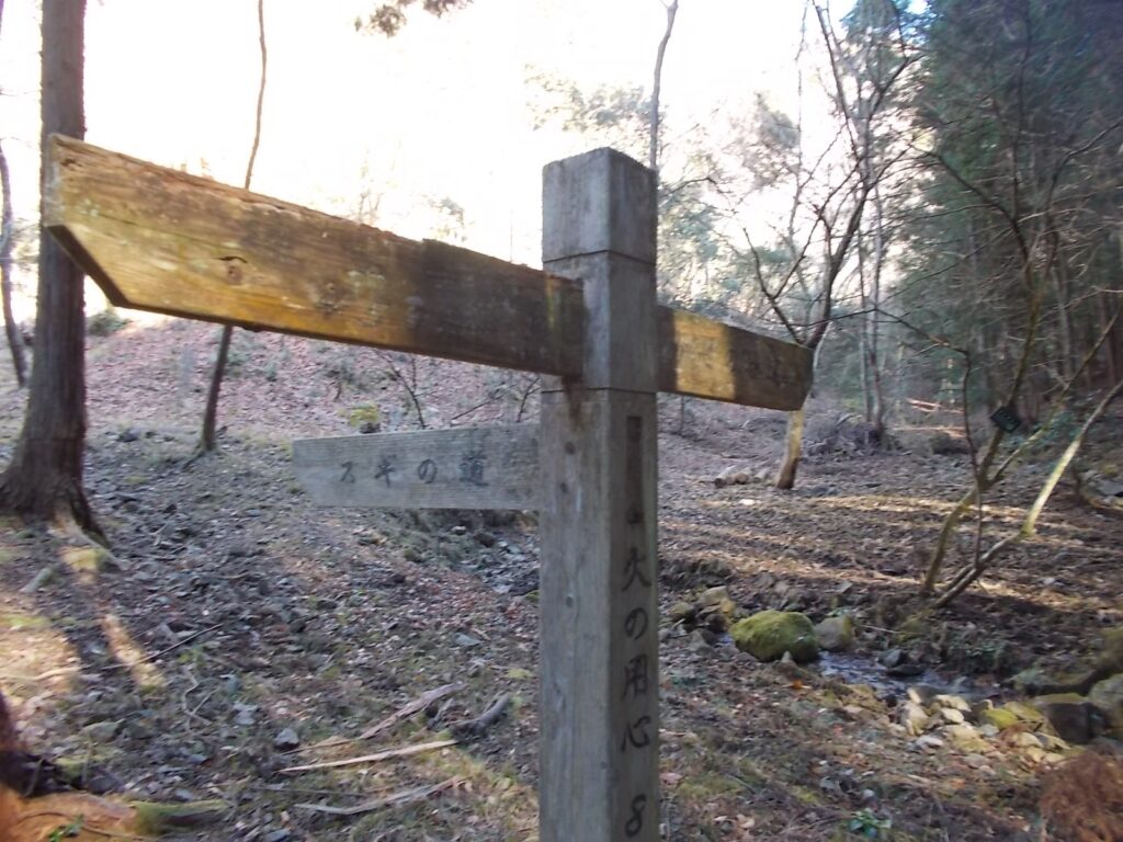 10：25　スギの道への分岐。