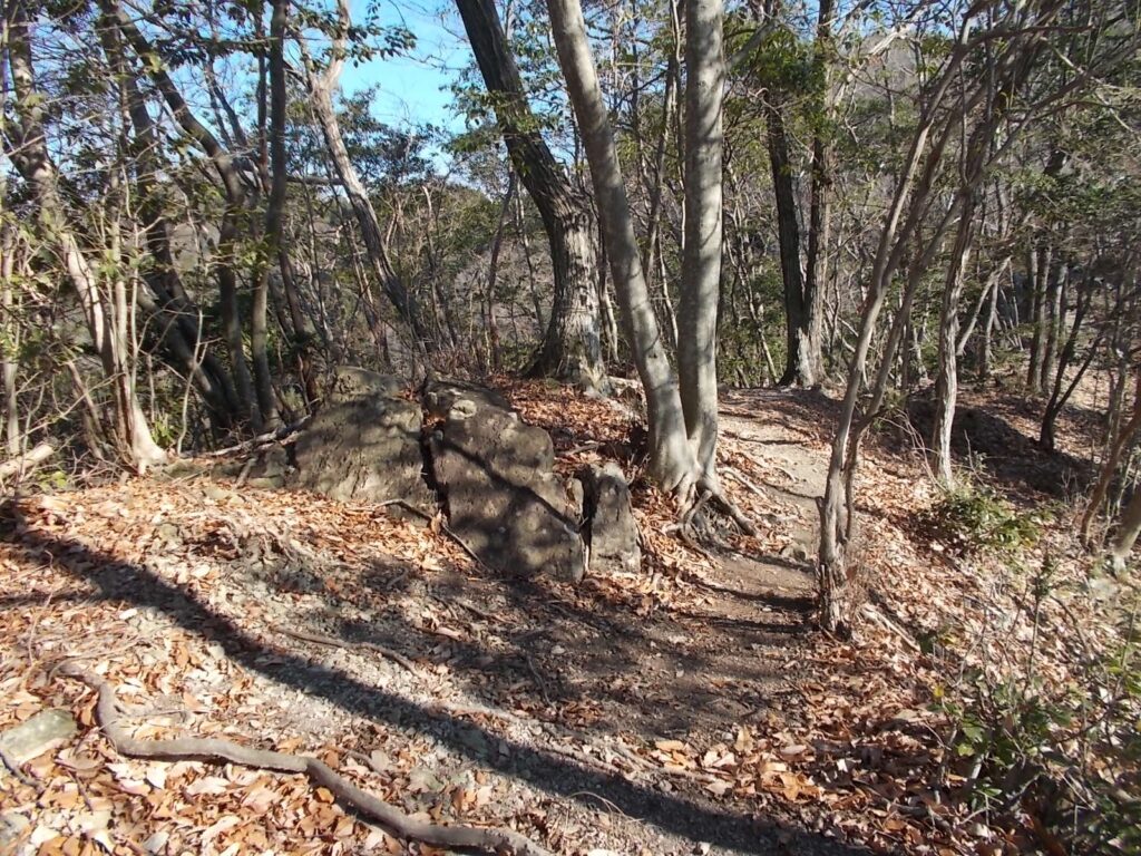 10：41　ここからは歩きやすくなります。