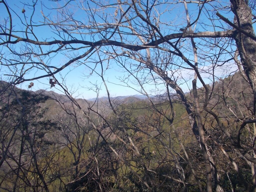 10：43　木々の枝を透かして、景色が楽しめます。