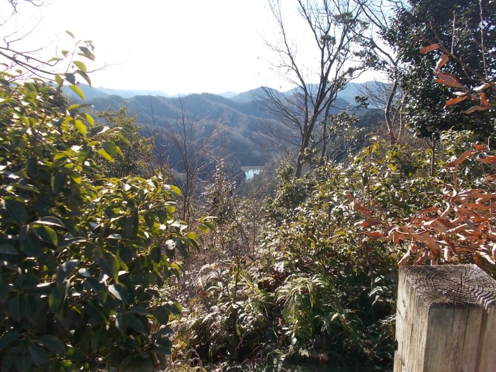 10：45　ここから見下ろすと、通ってきた通宝寺池が見えます。