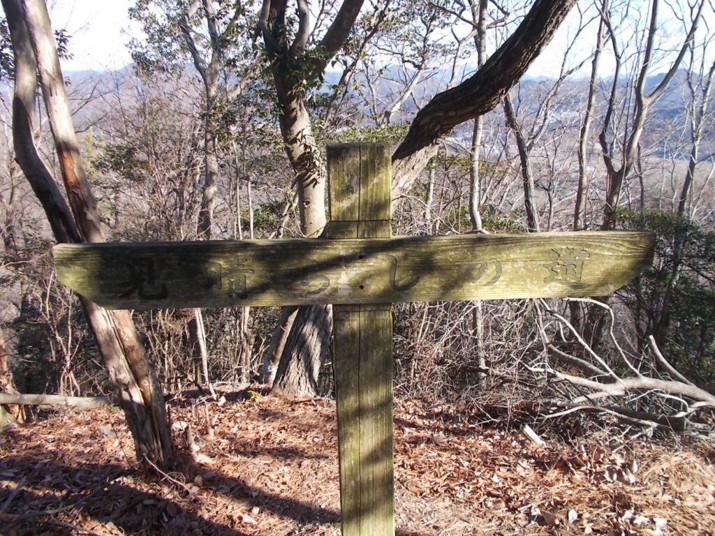 10：50　見晴らしの道の案内。