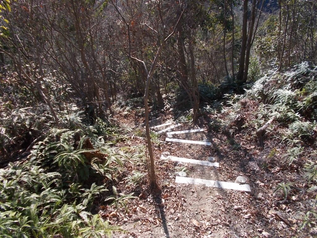 10：55　今度は下ります。かなりの下りです。このコース、アップダウンが10回くらいあります。