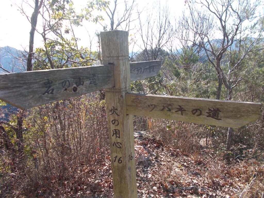 11：20　ツバキの道分岐