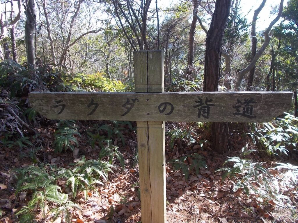 11：34　まだまだ続くラクダの背道