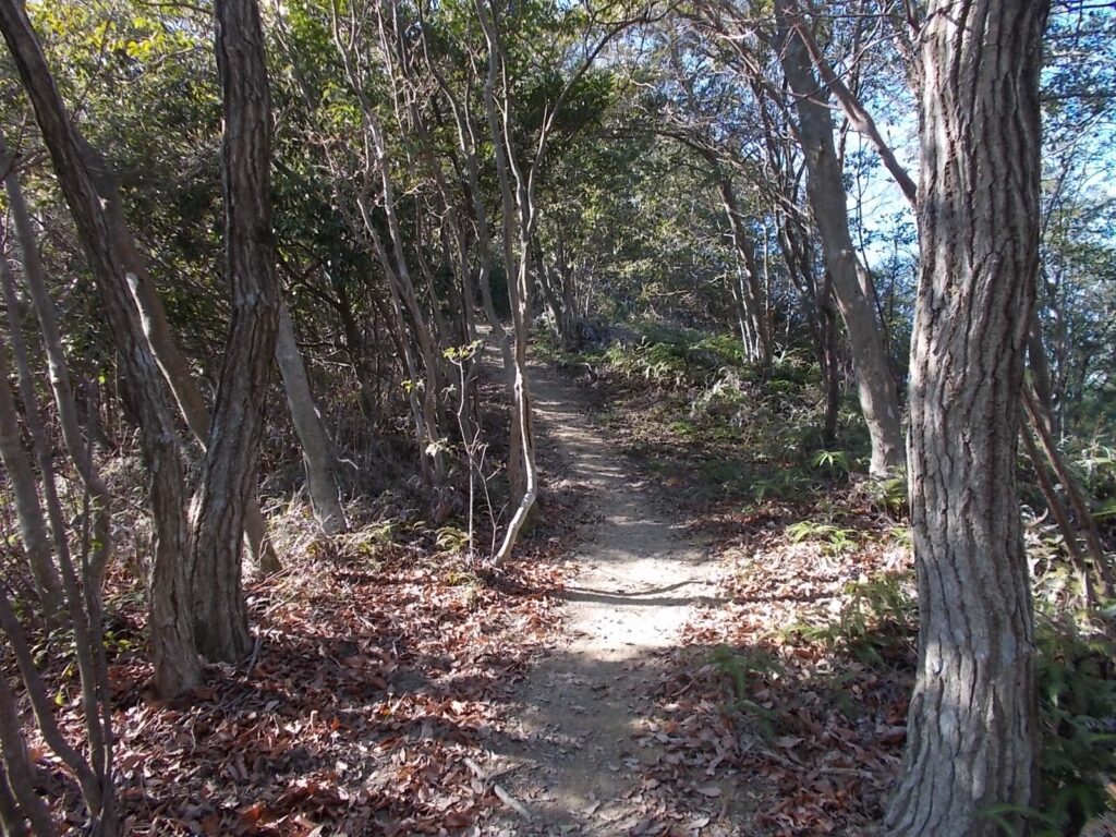 11：39　このあたりは快適です。