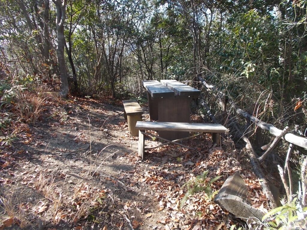 11：41　次のピーク。ベンチがあります。