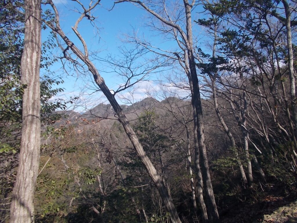 11：45　今まで歩いてきたラクダの背道