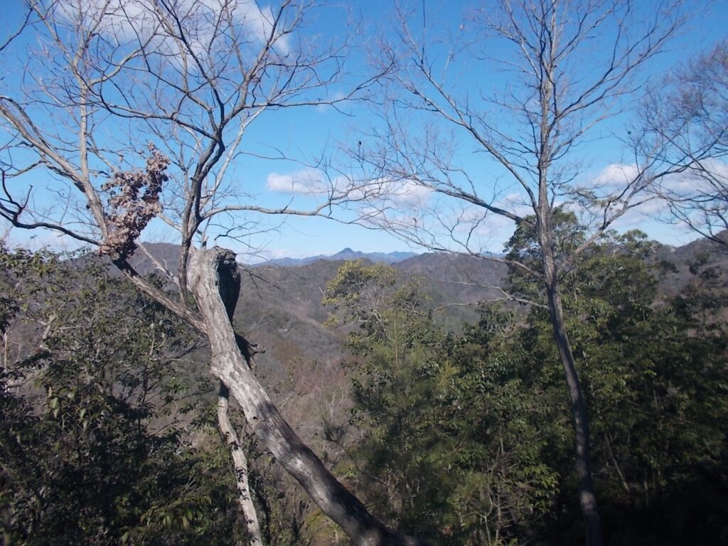 11：54　ここからも明神山がよく見えます。