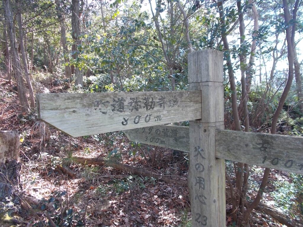 12：13　さっきの分岐に戻って、古墳の道へ。