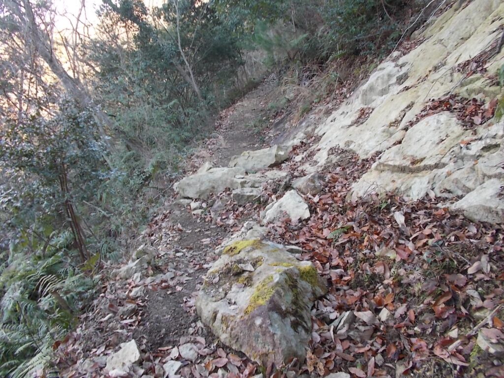 12：14　斜面から落ちてきた岩が塞いでいますが、問題なく通れます。