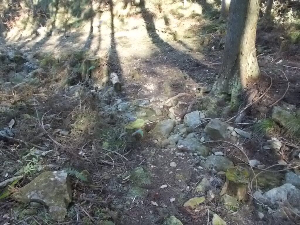 12：23　水の無い沢を渡ります。ここから沢沿いの林道を歩きます。