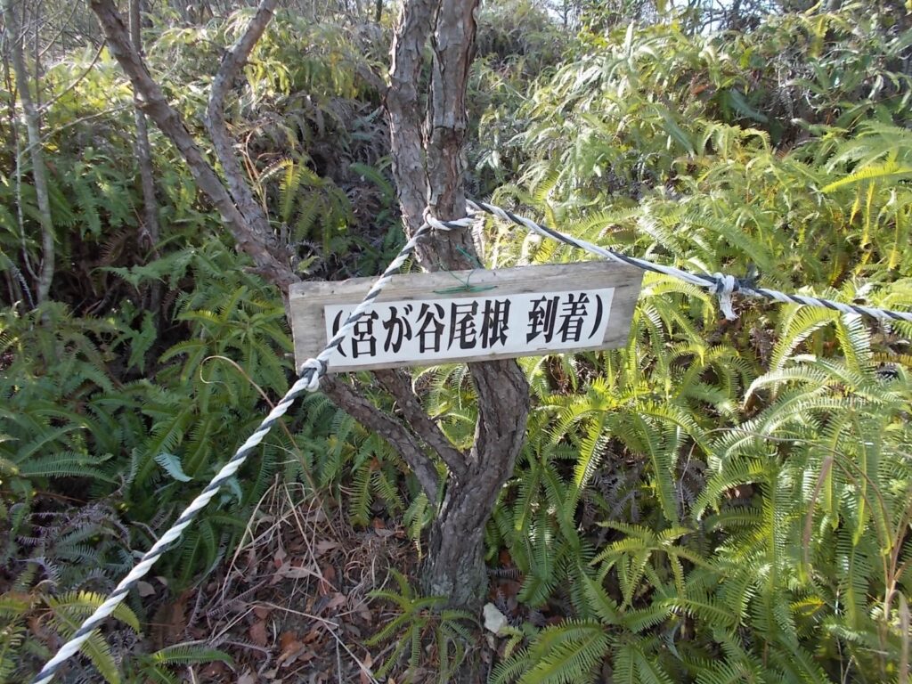 10:43 尾根に到着しました。