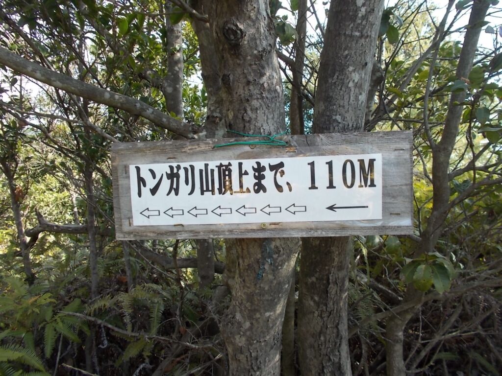 10:55 とんがり山頂上まで、110mの案内。ここから強烈な崖(壁)登りが始まります。