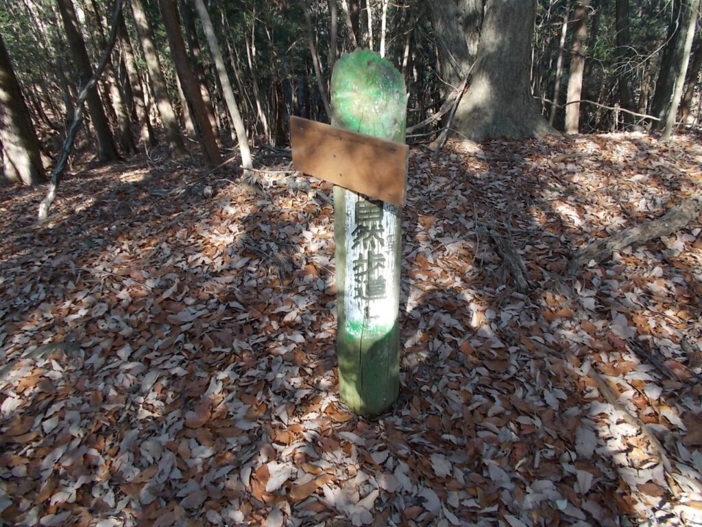 11:29 このあたりは自然歩道だそうです。が、あまり整備されているとは思えません。