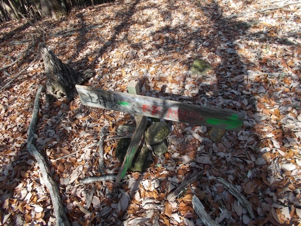 11:29 分岐の案内。