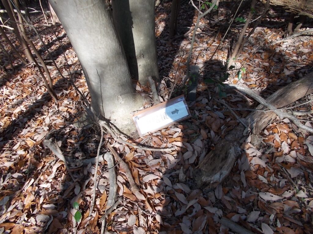 11:30 異様に低い位置にある案内。