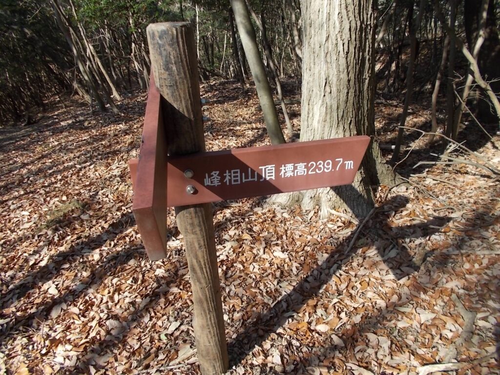 11:31 山頂への案内。