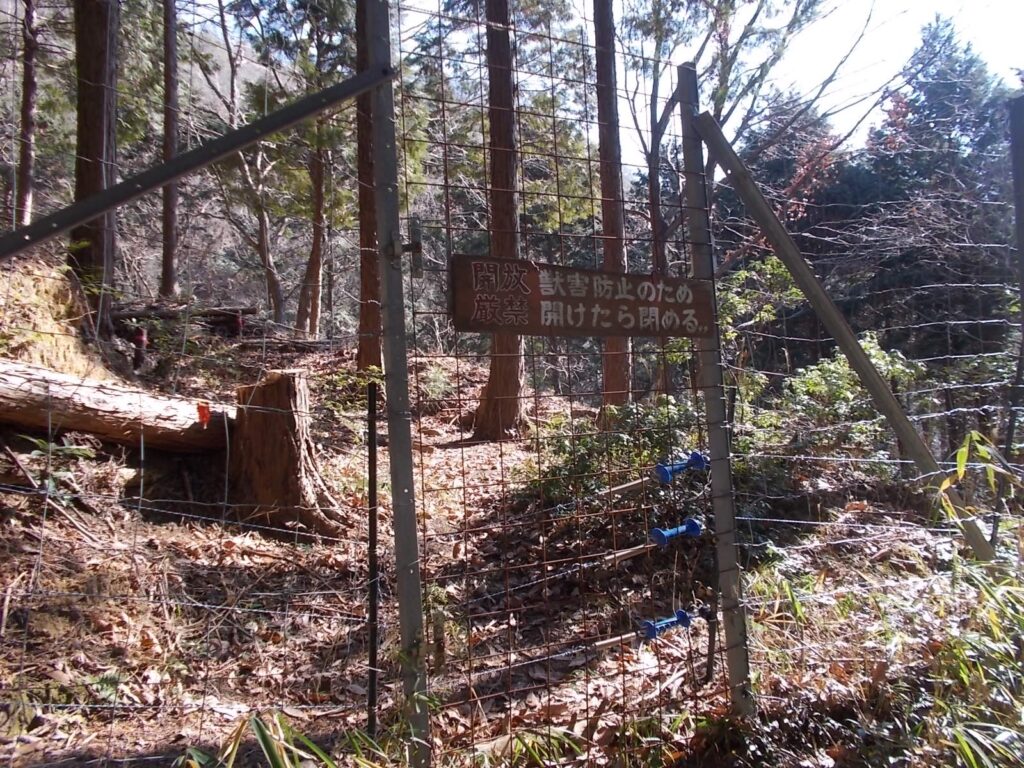 11:44 獣除けの電柵がありました。