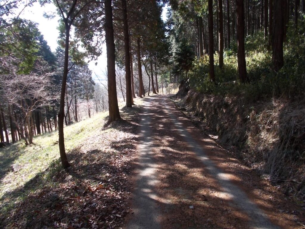 11:50 舗装路を歩きます。