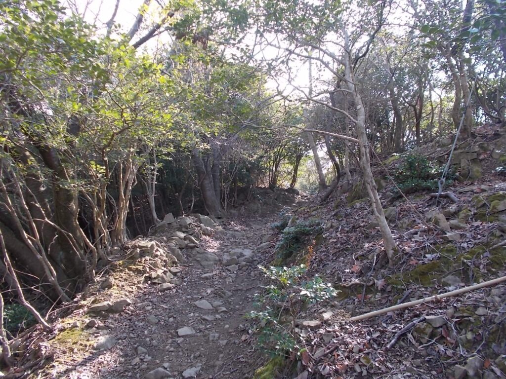 10：45　ここからは、自然林の中の穏やかな歩きになります。