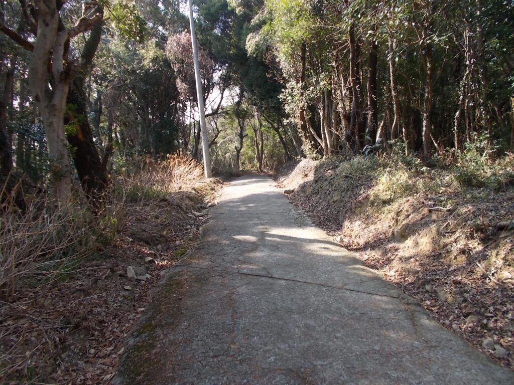 12：52　舗装路を歩きます。