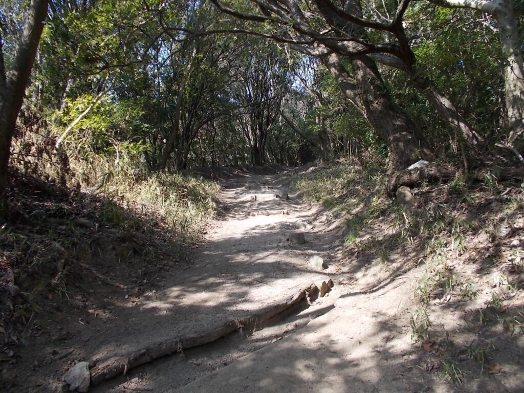 13：05　ここから地道になります。が、しっかり整備されています。