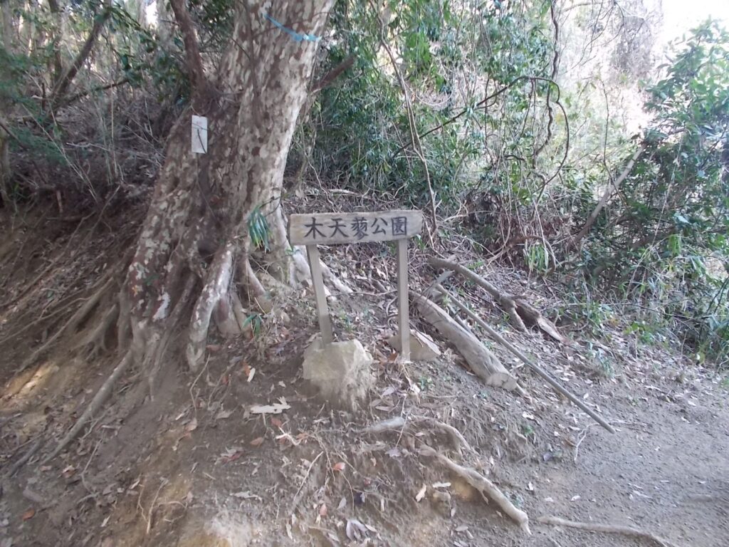 13：11　マタタビ公園だそうです。